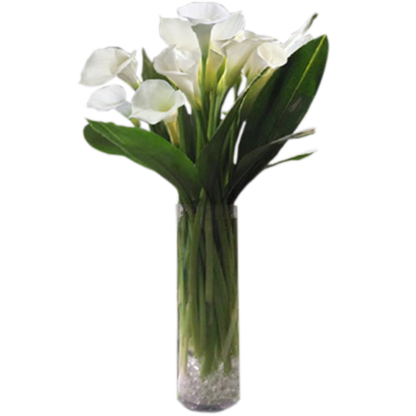 Elegant Callas