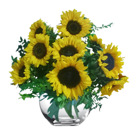 Sunflower Bowl