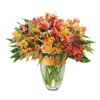 Awesome Alstroemeria