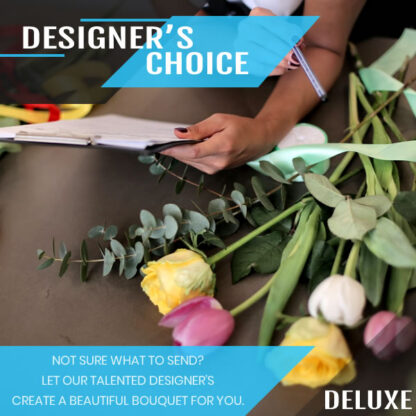 Designer's Choice - Deluxe