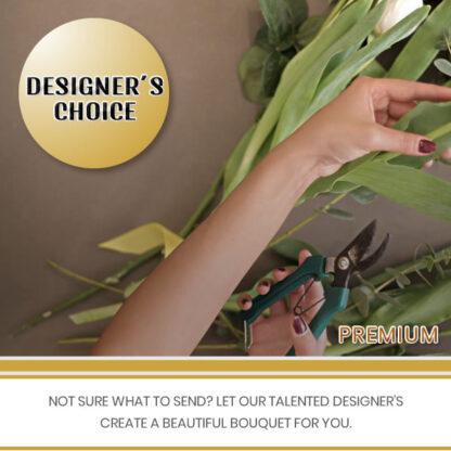 Designer's Choice - Premium